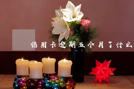 信用卡逾期五个月了什么后果