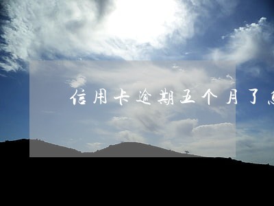 信用卡逾期五个月了怎样处理
