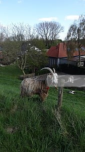 信用卡逾期五个月会上征信吗 信用卡逾期五个月会上征信吗