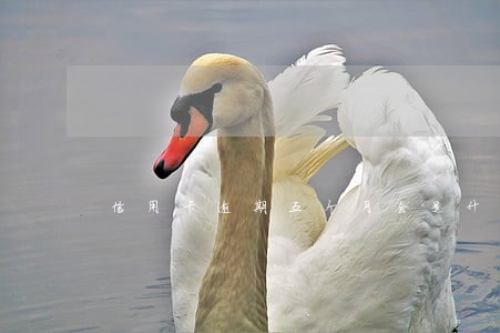 信用卡逾期五个月会是什么后果