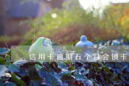 信用卡逾期五个月会锁卡么 信用卡逾期五个月会锁卡么