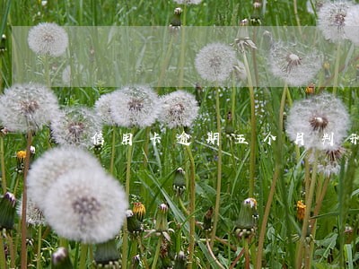 信用卡逾期五个月判刑 信用卡逾期五个月判刑