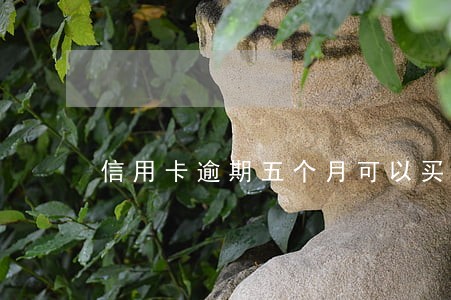 信用卡逾期五个月可以买车吗 信用卡逾期五个月可以买车吗