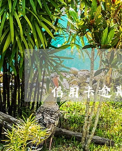 信用卡逾期五个月可以停息 信用卡逾期五个月可以停息