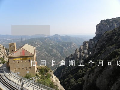 信用卡逾期五个月可以协商吗 信用卡逾期五个月可以协商吗