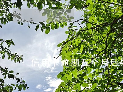 信用卡逾期五个月后果没多少钱 信用卡逾期五个月后果没多少钱