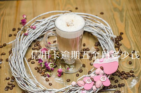 信用卡逾期五个月多少钱