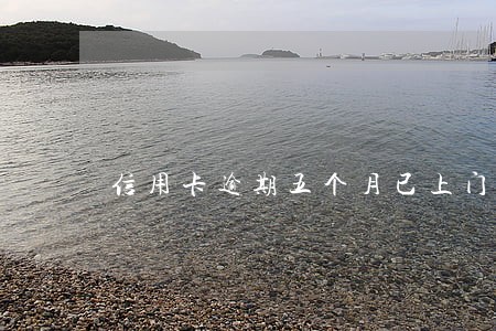 信用卡逾期五个月已上门 信用卡逾期五个月已上门