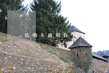 信用卡逾期五个月影响贷款 信用卡逾期五个月影响贷款