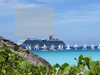 信用卡逾期五个月有什么意味