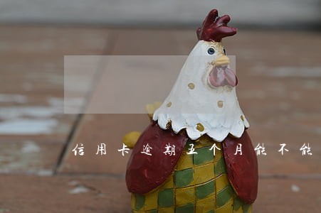 信用卡逾期五个月能不能坐动