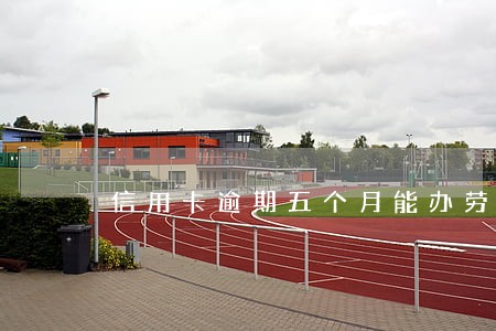 信用卡逾期五个月能办劳务证吗