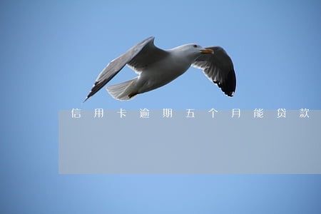 信用卡逾期五个月能贷款吗