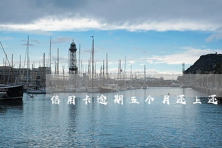 信用卡逾期五个月还上还能用吗 信用卡逾期五个月还上还能用吗