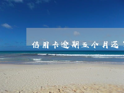 信用卡逾期五个月还了还可以用吗 信用卡逾期五个月还了还可以用吗