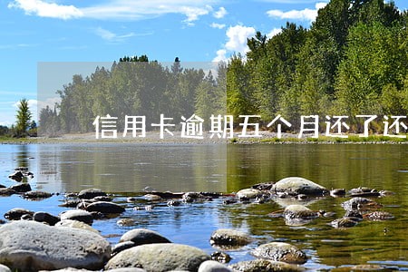 信用卡逾期五个月还了还能用吗 信用卡逾期五个月还了还能用吗