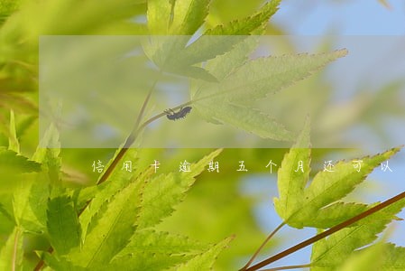 信用卡逾期五个月还可以坐高铁 信用卡逾期五个月还可以坐高铁