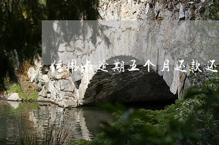 信用卡逾期五个月还款还能使用吗