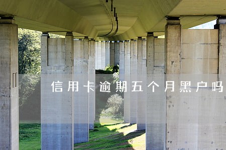 信用卡逾期五个月黑户吗 信用卡逾期五个月黑户吗