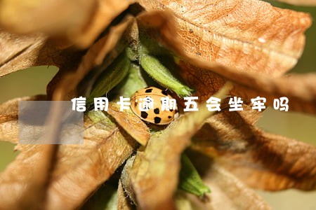 信用卡逾期五会坐牢吗 信用卡逾期五会坐牢吗