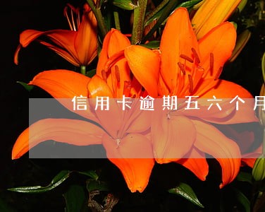 信用卡逾期五六个月了没办法换