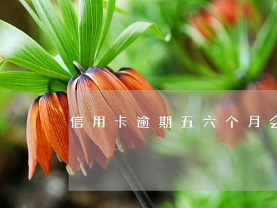 信用卡逾期五六个月会怎么样 信用卡逾期五六个月会怎么样