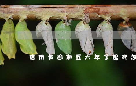 信用卡逾期五六年了银行怎么处理 信用卡逾期五六年了银行怎么处理