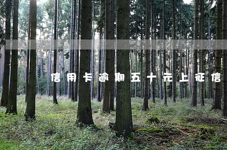信用卡逾期五十元上征信 信用卡逾期五十元上征信