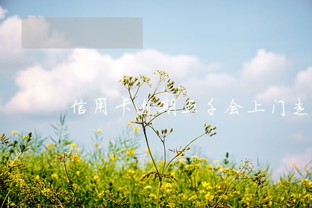信用卡逾期五千会上门走访吗 信用卡逾期五千会上门走访吗