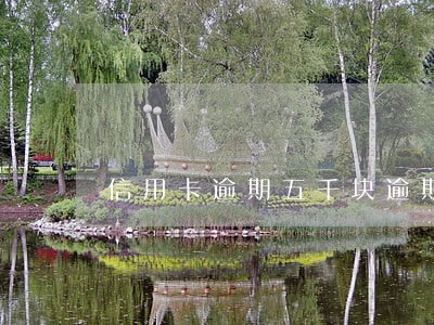 信用卡逾期五千块逾期五个月 信用卡逾期五千块逾期五个月