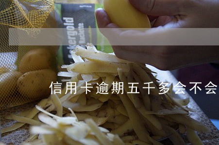 信用卡逾期五千多会不会被投诉 信用卡逾期五千多会不会被投诉