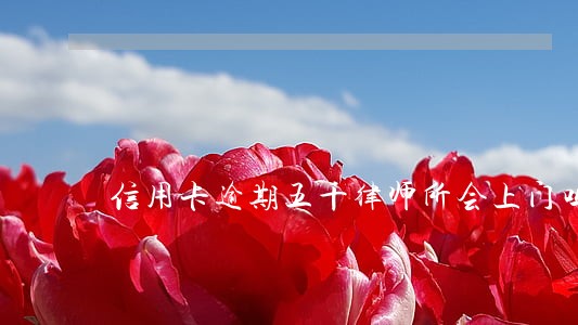信用卡逾期五千律师所会上门吗 信用卡逾期五千律师所会上门吗