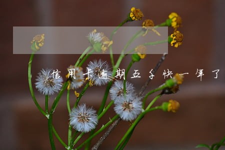 信用卡逾期五千快一年了 信用卡逾期五千快一年了