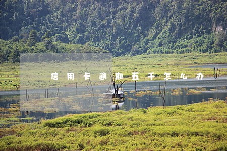 信用卡逾期五千怎么办 信用卡逾期五千怎么办