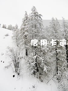 信用卡逾期五千每月还五百 信用卡逾期五千每月还五百