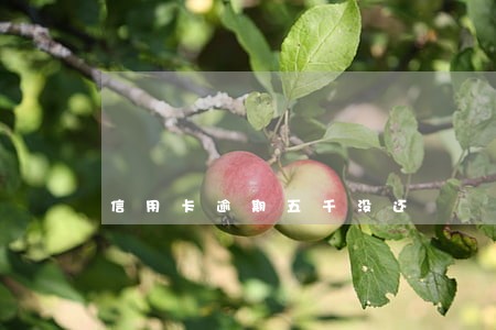 信用卡逾期五千没还 信用卡逾期五千没还