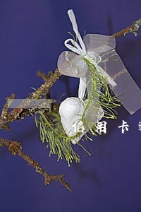 信用卡逾期五千能黑户