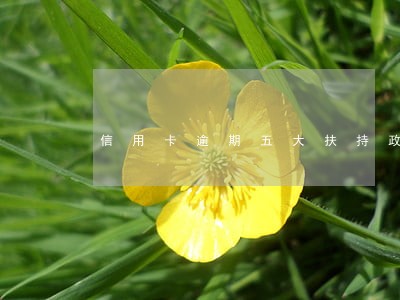 信用卡逾期五大扶持政策 信用卡逾期五大扶持政策