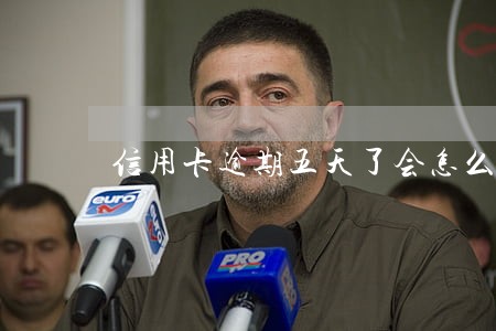 信用卡逾期五天了会怎么样 信用卡逾期五天了会怎么样