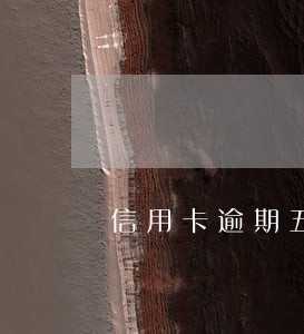 信用卡逾期五天了可以再申请吗