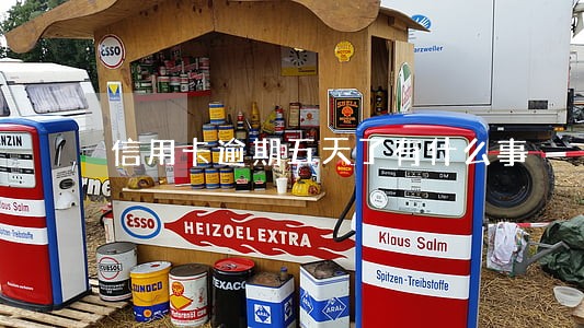 信用卡逾期五天了有什么事 信用卡逾期五天了有什么事