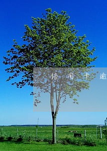 信用卡逾期五天了还能还吗