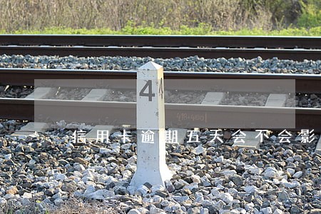 信用卡逾期五天会不会影响 信用卡逾期五天会不会影响