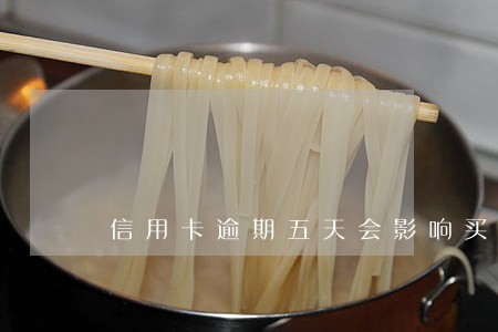 信用卡逾期五天会影响买房吗 信用卡逾期五天会影响买房吗