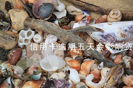 信用卡逾期五天会影响贷款吗 信用卡逾期五天会影响贷款吗