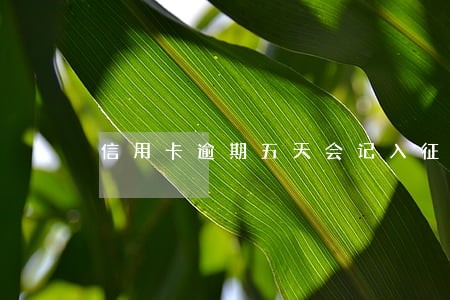 信用卡逾期五天会记入征信 信用卡逾期五天会记入征信