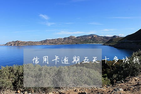 信用卡逾期五天十多块钱会上征信 信用卡逾期五天十多块钱会上征信