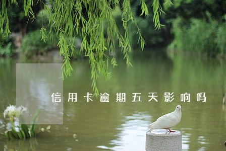 信用卡逾期五天影响吗 信用卡逾期五天影响吗