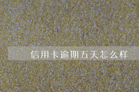 信用卡逾期五天怎么样 信用卡逾期五天怎么样