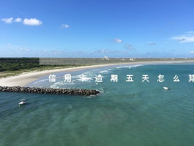 信用卡逾期五天怎么算罚息 信用卡逾期五天怎么算罚息